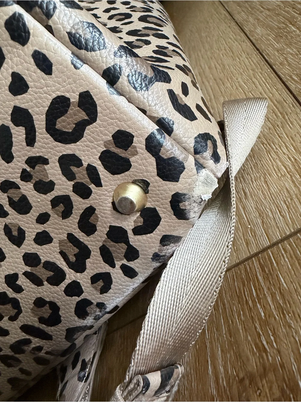Freshly Picked Leopard Classic Diaper Backpack Large